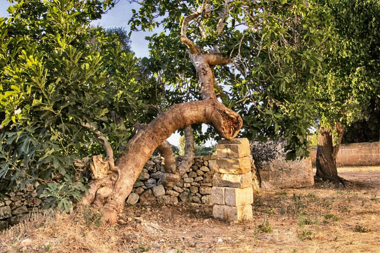 Masseria Costa Corigliano dʼOtranto Exteriér fotografie